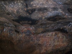 Photo Comp