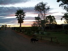 Photo Comp