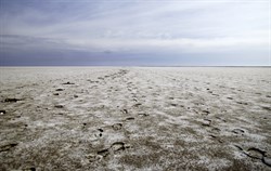 Lake Eyre 2010