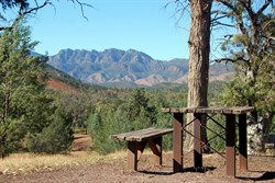 Flinders Ranges, SA