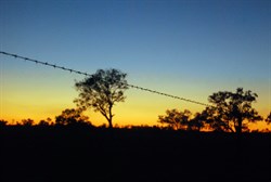 Louth, NSW