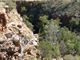 The Grotto