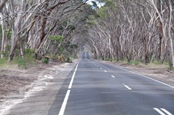 Hog Bay Road heading west from Penneshaw towards Kingscote