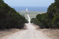 The Main Cape Willoughby to Penneshaw Road
