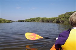 Kayaking on the Chapman River was the best that we have ever paddled