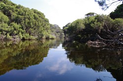 The Chapman River