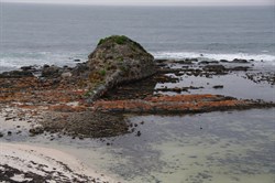 Tadpole Rock - D'Estrees Bay