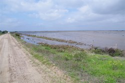 110mm of Rain the previous night and evrything was under water