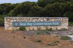 What the Island is famous for