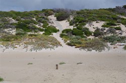 Track down to the beach at West Bay