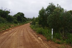 Shackle Road to Cape Borda
