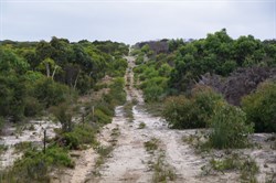 Track towards the Degree Confluence