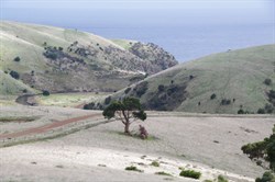 Heading towards Western River Cove