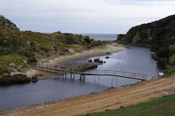 Western River Cove camping area