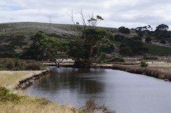 Middle River - another perfect kayaking river