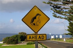 Not your average road sign - Penneshaw