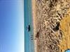 Glorious days at Ningaloo