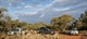 Pacxking up the morning camp at Popiltah NSW - Taken: 12:00:00 AM Camera: FUJIFILM FinePixViewer Ver.5.1