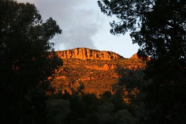 Wilpena Pound