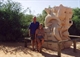 Shell block statue at Monkey Mia