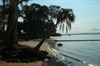 Tide is in, fishing is on! Poona 