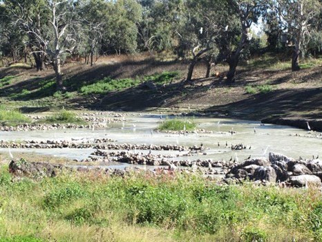 Brewarrina Fish Traps