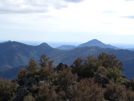 Nandewar Range (Mt Kaputar NP)