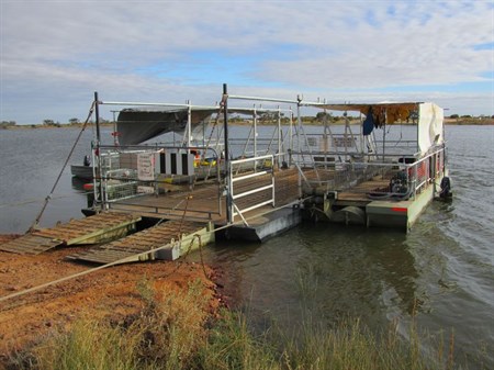Cooper Creek Ferry over the Birdsville Track