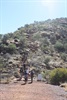 The climb at "Heart-attack hill" - Taken: 12:00:00 AM Camera: FUJIFILM FinePixViewer Ver.5.1