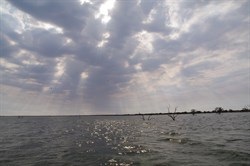 I hope those clouds do not bring rain