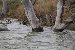 This years water level was around 400mm less that last year