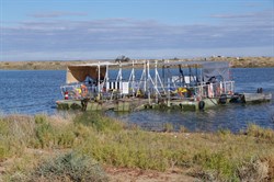 The ferry returning to take over 