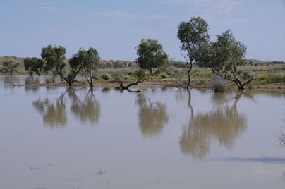 Large amounts of water before the Detour