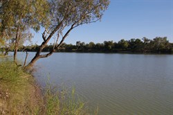 Eyre Creek at Annandale