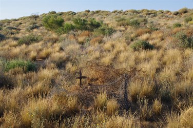 The Childrens grave