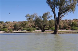 On Eyre Creek