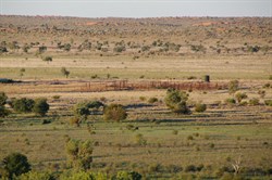 Looking back to Ruwolts Bore cattle yards