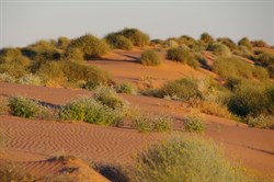 The colours of the dunes constantly changed
