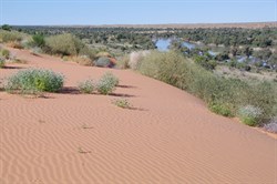 From the top of the dune next morning