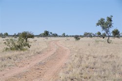 Track condition on the Eyre Creek Flood detour track