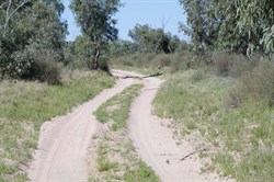 Eyre Creek Flood detour track