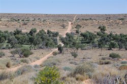 The Eyre Creek Flood Plain is extensive