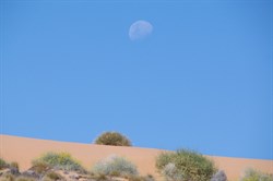 Moon rising over the Simpson Dunes