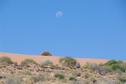 Moonrise