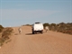 Dodging a few of the locals west of Boulia - Taken: 30/08/2011 5:44:28 PM Camera: FUJIFILM FinePixViewer Ver.5.1