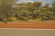 Wildflowers beside the Northern Highway