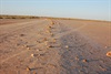 Welford National Park