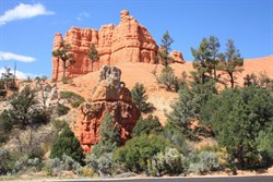Roadside views at Red Rock Canyon