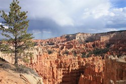 Views of Hoodoos at Bryce Canyon