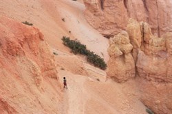 Views of hikers below the rim at Bryce canyon